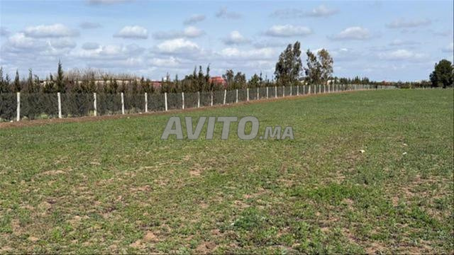 أراضٍ وفِرمات فلاحية محفظة – البئر الجديد - 2