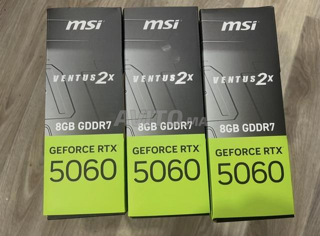 MSI GeForce RTX 5060 8Go GDDR7 VENTUS 2X OC - 2