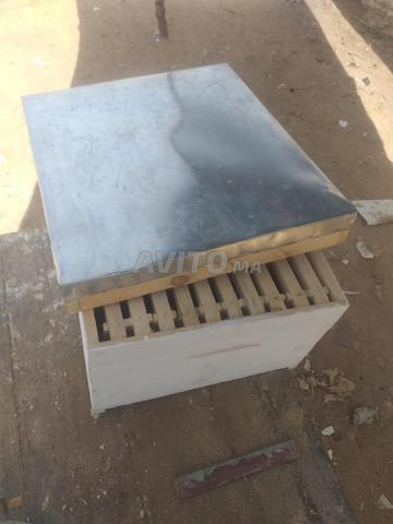 صناديق النحل - 2