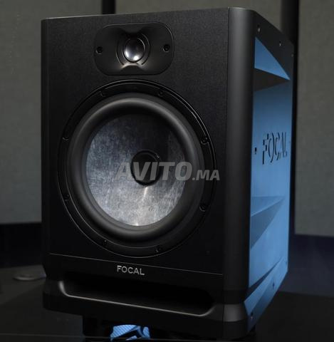 Focal Alpha 80 Evo (la pièce) - 2