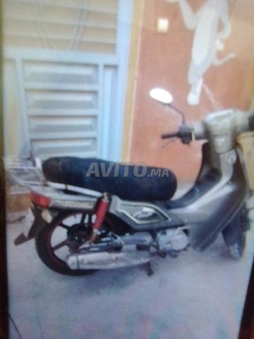 تامسنا اڤيطو - 2