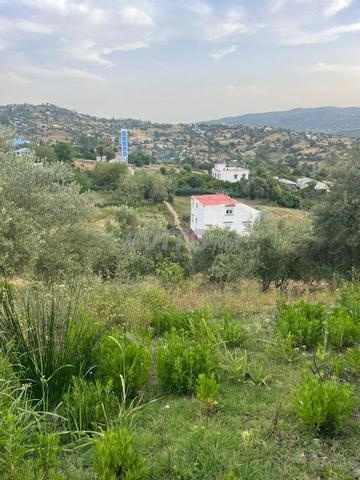 أرض للبيع - 2