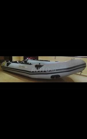 Zodiac pneumatique - 2