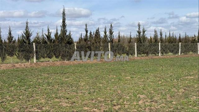 بقع أرضية محفظة للسكن والاستثمار – سيدي رحال - 2