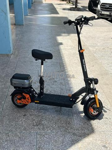 تروتينت M5 - 2