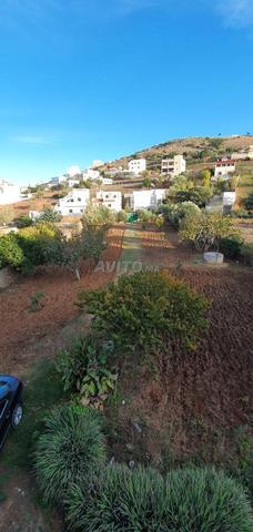Terrain titré à vendre Aouchtam Oued Laou - 2