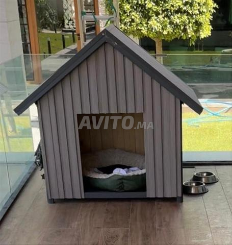 2 GOLDEN RETRIEVER très beaux avec niche fabriquée - 2