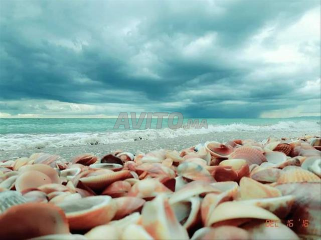 Appartement confortable à Cabo Negro – avec piscine - 2