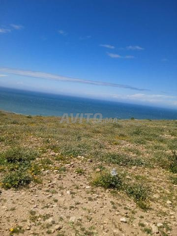 Terrain 88390 m² Sidi Ahmed Sayh - 2