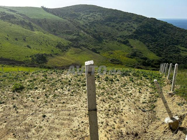 Vaste terrain titré à Tanger - 2