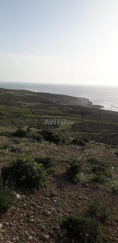 أرض سيدي أحمد السايح الصويرة - 2