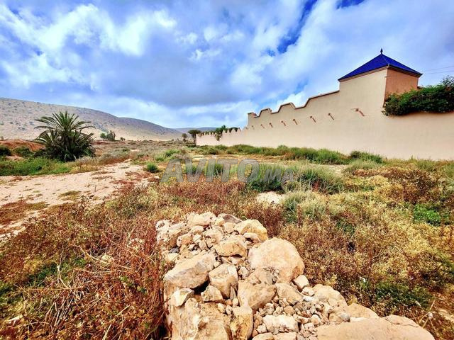 Vente Terrain nu de 1425 m2 à Tiznit - 2