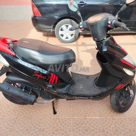 ريـمـكـو سـافـاري مـع خـوذة مـجـانـا - 2