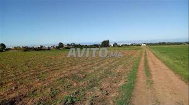 أراضٍ فلاحية محفظة وفيلات للبيع ببئر جديد - 2