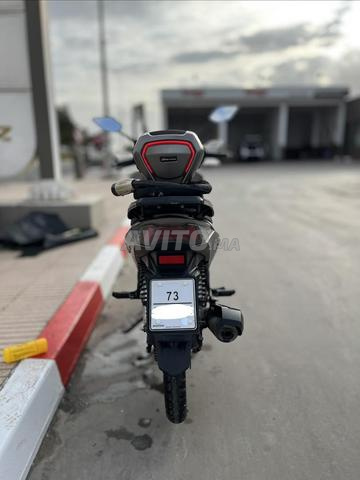 Sh Daytona propre - 2