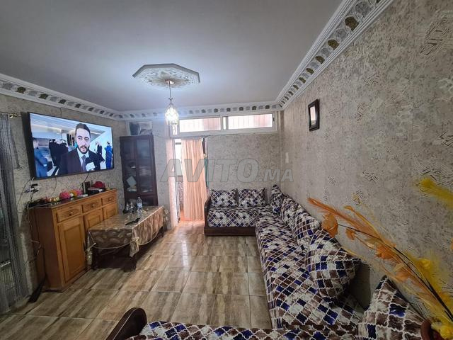 ظاهريا في الهانك - 2