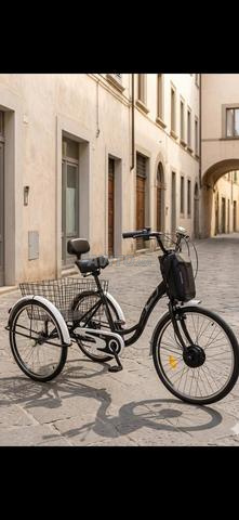 Tricycle électrique