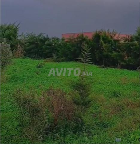 Terrain à vendre 1763 m² Ain Attig Route agricole