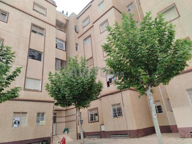 Occasion à ne pas rater