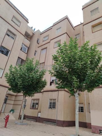 فرصة لا تعوض - 2