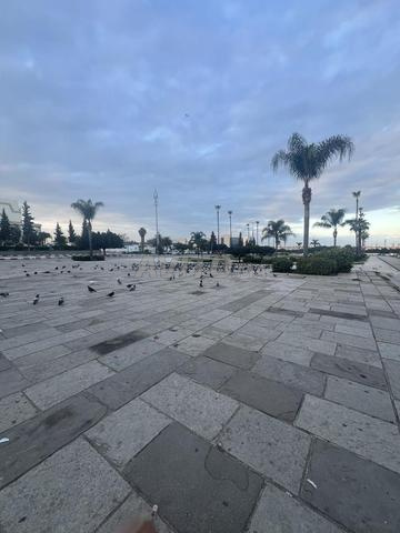 Pour les visiteurs du Siam 2026