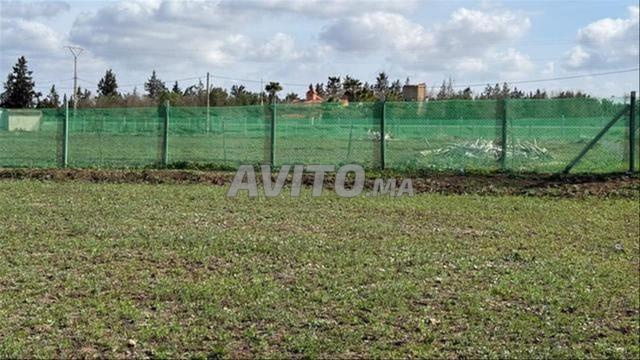 Vente de terrains – Sidi Rahal, bord de mer