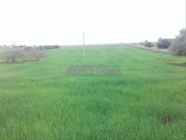 بيع أراضي – سيدي رحال، على شاطئ البحر - 2