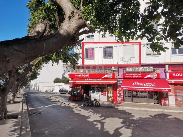 Appartement meublé à Socrate (wifi inclus) - 2