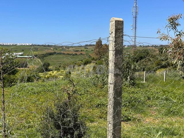 terrain titré à vendre - 2