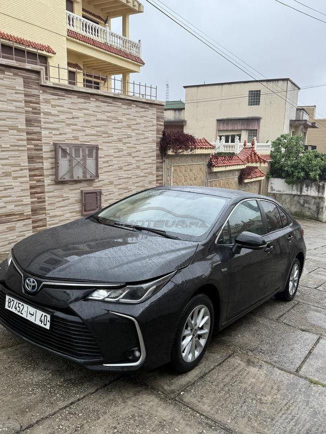 toyota corolla 2021 