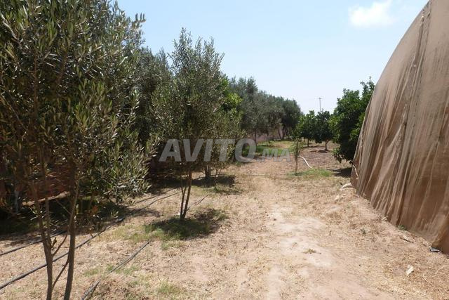 Villa de luxe sur 15000 m² - 2