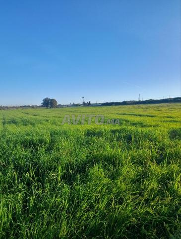 Terrain nu à vendre