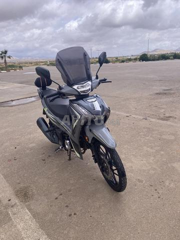 أفريقيا زايو - 2