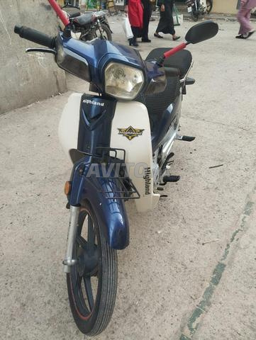 هاي لوونج أزرق - 2