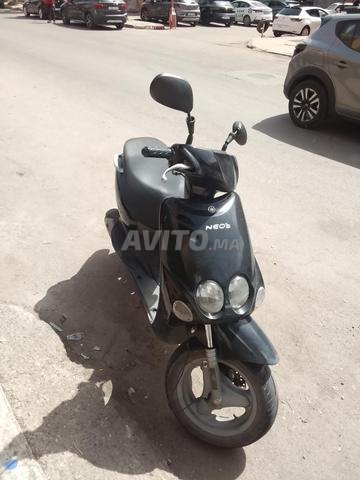 نيوس للبيع - 2