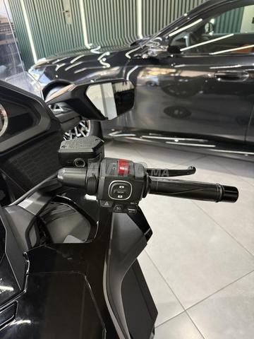 جولدوينج 2024 - 2