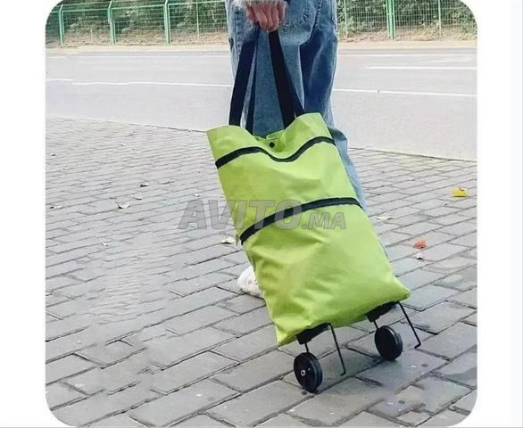 Chariot de courses polyvalent - 2