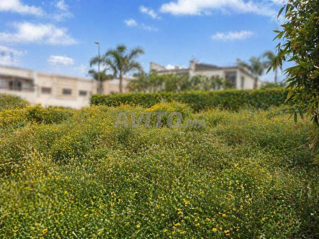 Terrain titré 374 m² Sidi Maârouf  - 2