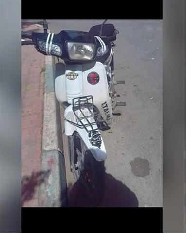 إيتاليكا سي 50 2022 - 2