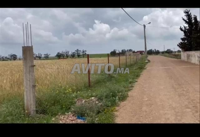 أراضٍ محفظة للسكن والاستثمار بسيدي رحال - 2