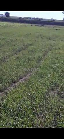 TERRAIN A VENDRE - 2