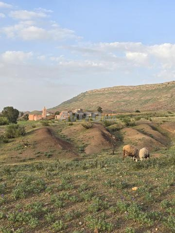 Terrain pour construire une villa. - 2