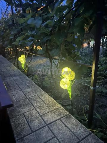 وردة مضيئة بالطاقة الشمسية للحديقة والشرفة - 2