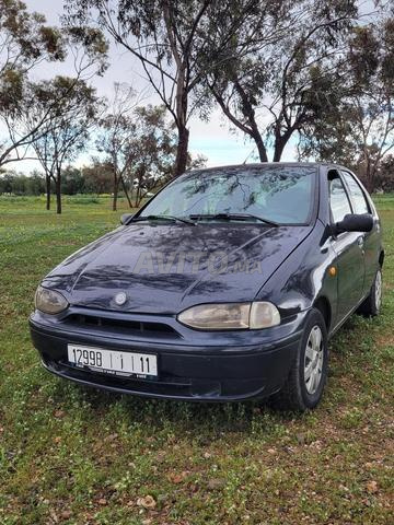 سيارة فيات باليو 2003 ديزل جيدة fiat palio - 2