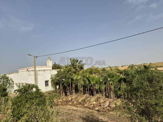 Ferme à vendre à Azemmour