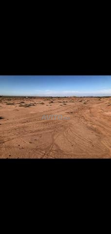 🌿 Terrain Marrakech sans intermédiaire 🏡 - 2