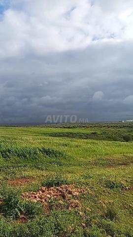 فاس، تعاونية الخير - 2