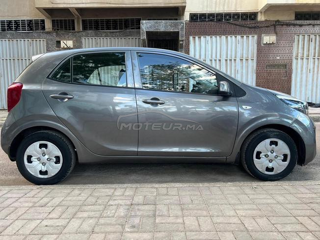 kia picanto