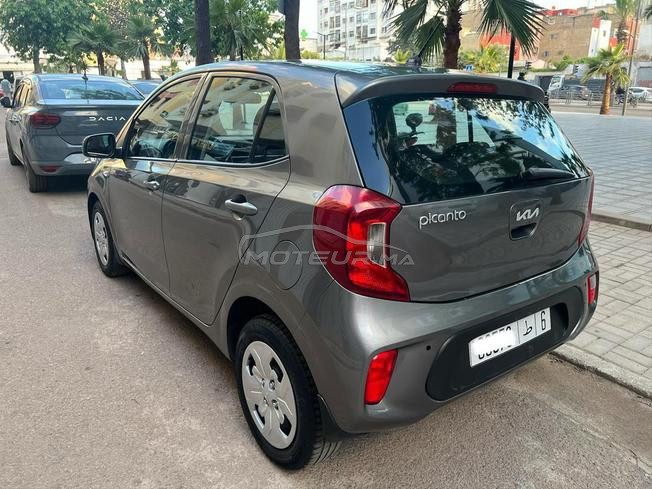 kia picanto