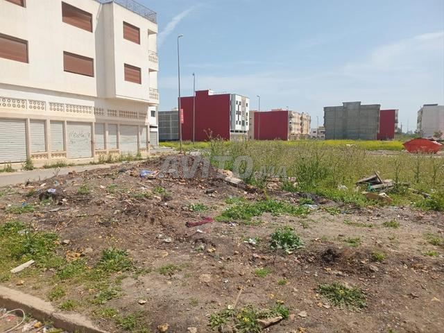 Annonce de vente de terrain - 2
